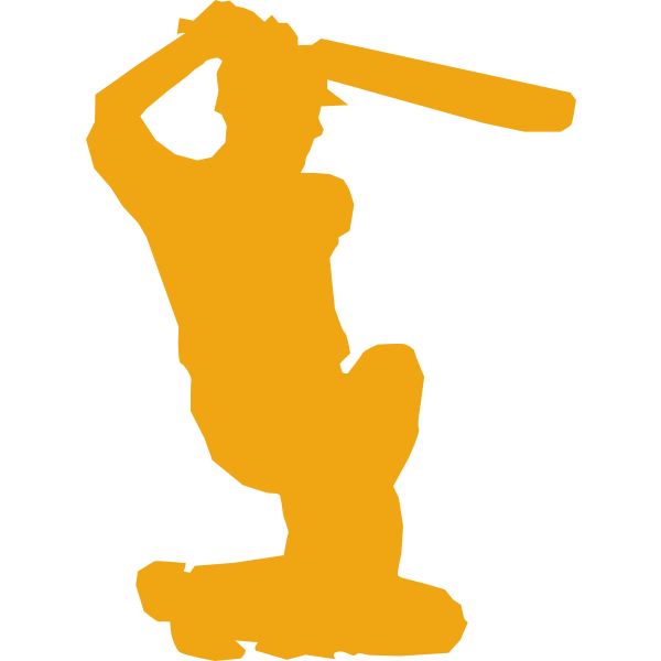 SVG Cricket player silhouette vector image