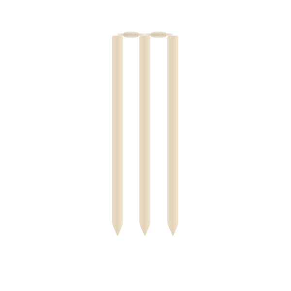 SVG Cricket stumps and rails vector image