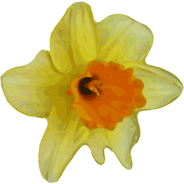 SVG Crocus flower