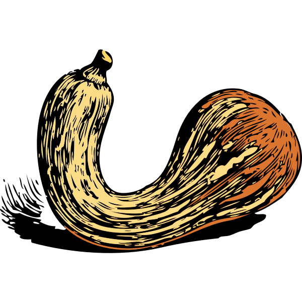 SVG crookneck sqaush