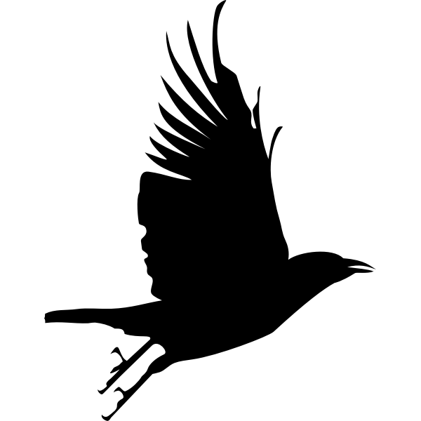SVG Crow flying up silhouette vector image