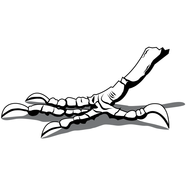 SVG Crow039s foot
