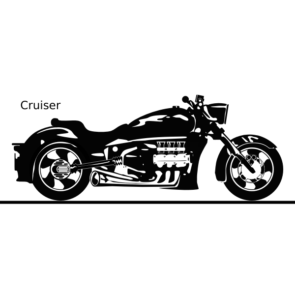 SVG Cruiser bike vector image