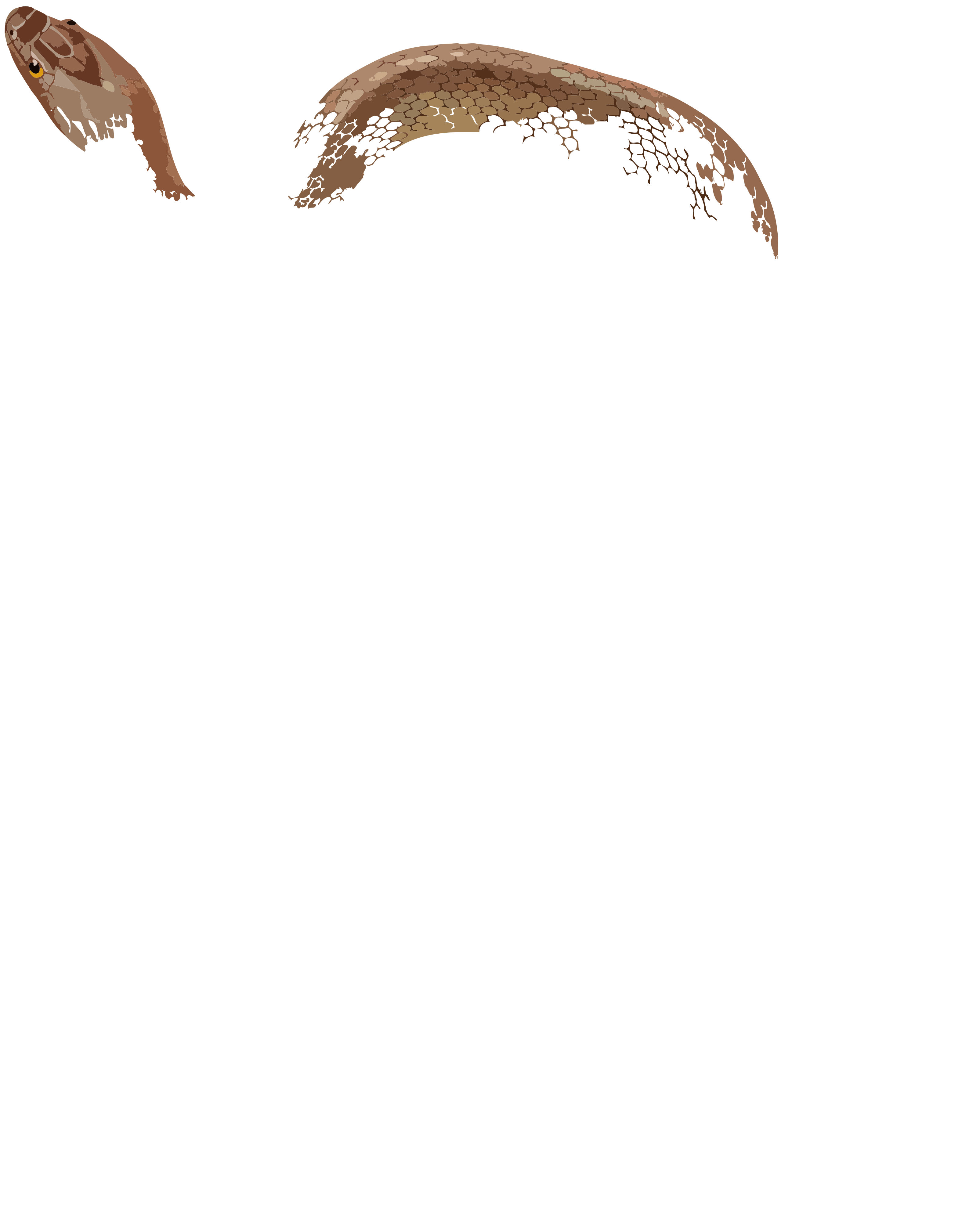 SVG Cuban racer vector image