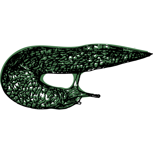 SVG Curled Slug