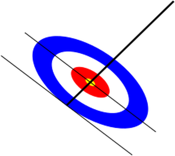 SVG Curling Sheet Half SKEW