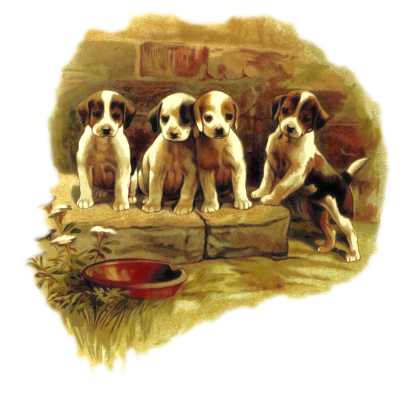 SVG Cute dogs drawing