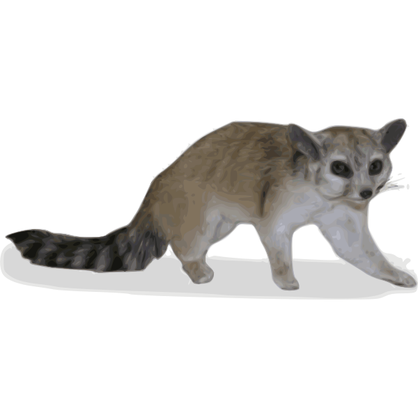 SVG cyb ringtail Bassariscus astutus