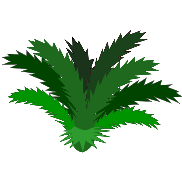 SVG Cycas