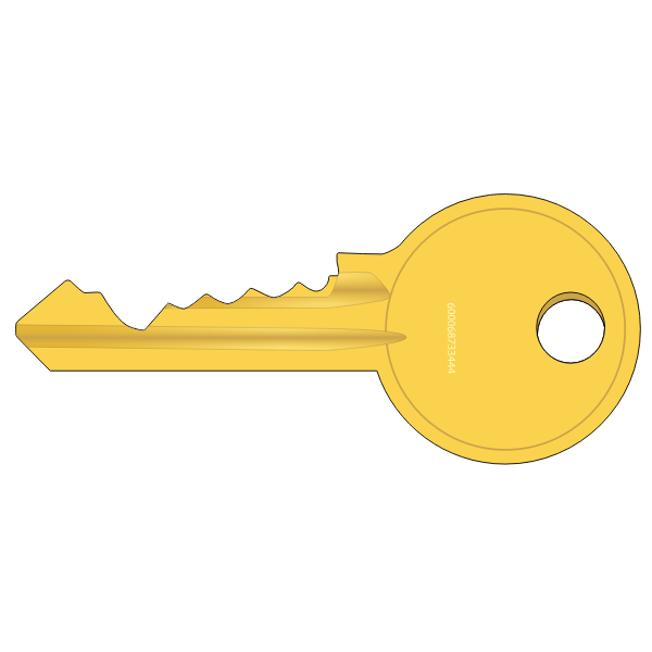 SVG Cylinder lock key vector image