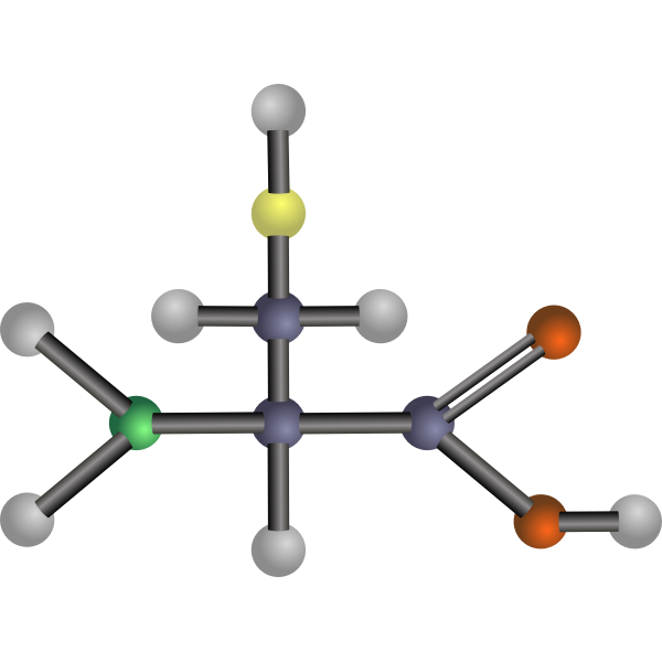 SVG Cysteine amino acid