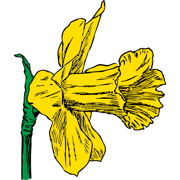 SVG daffodil