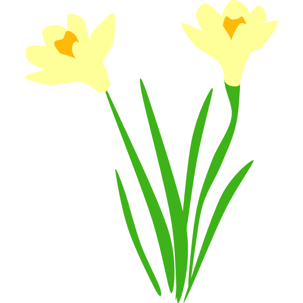 SVG dafodils for gravesite