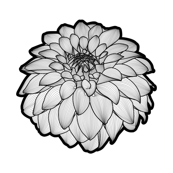 SVG Dahlia black039n white