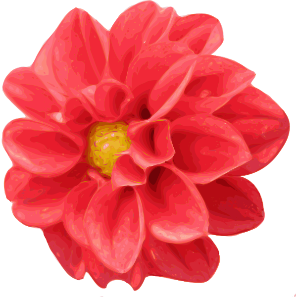 SVG Dahlia flower vector