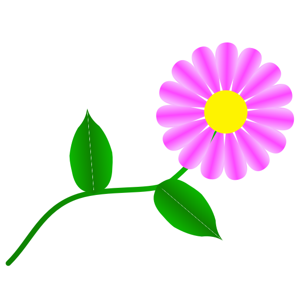 SVG Daisy Fuchsia