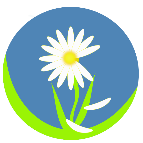 SVG Daiy love petals vector image