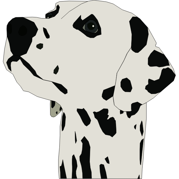 SVG Dalmatian dog portrait vector image