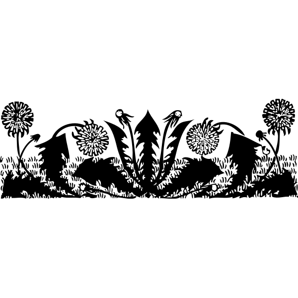 SVG Dandelions vector