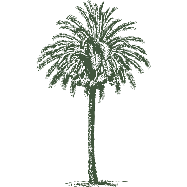 SVG date palm