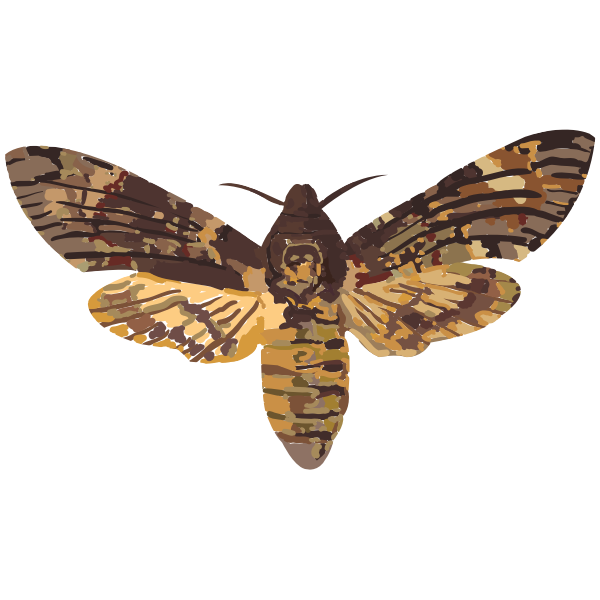 SVG death head hawk
