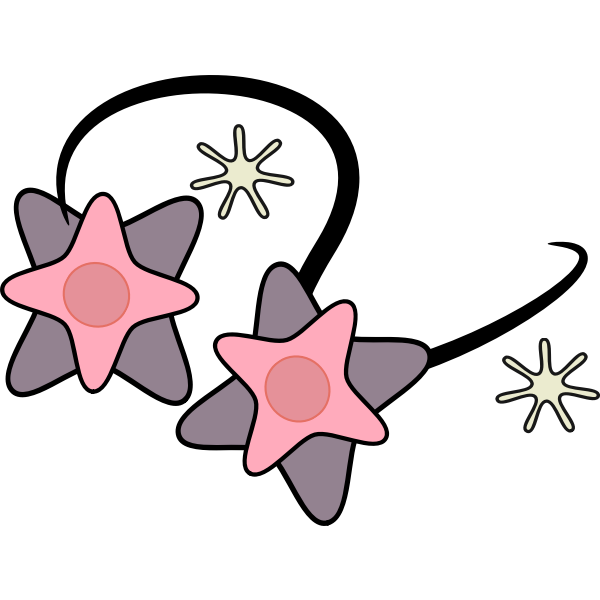 SVG Decoration