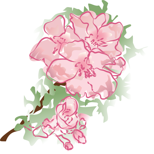 SVG Decoration flower vector illustration