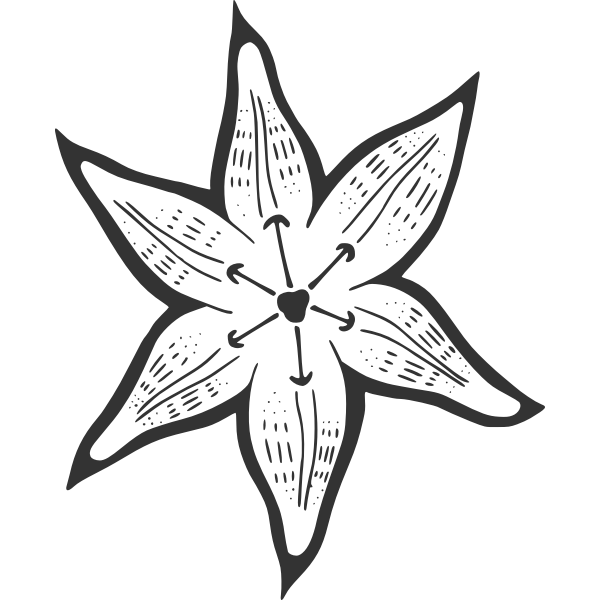 SVG Decorative lily vector image