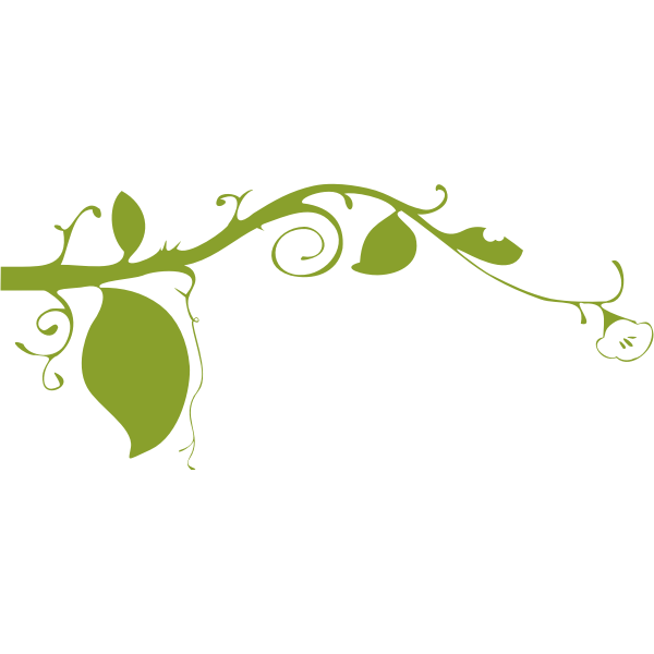 SVG Decorative lower plant vector image