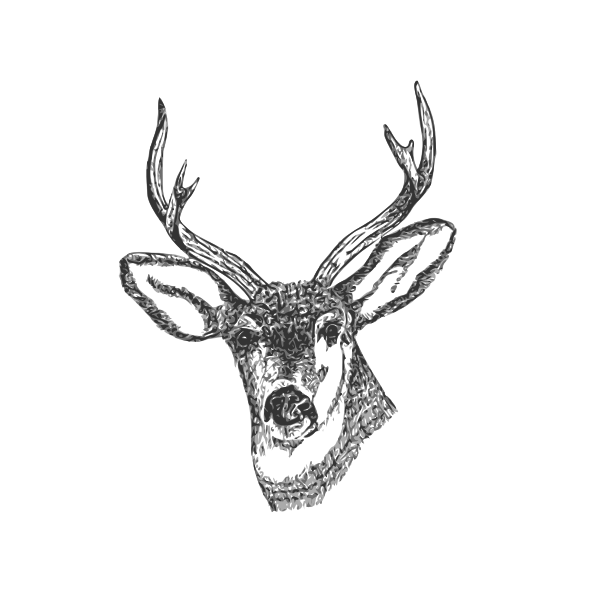 SVG Deer head with horns vector image