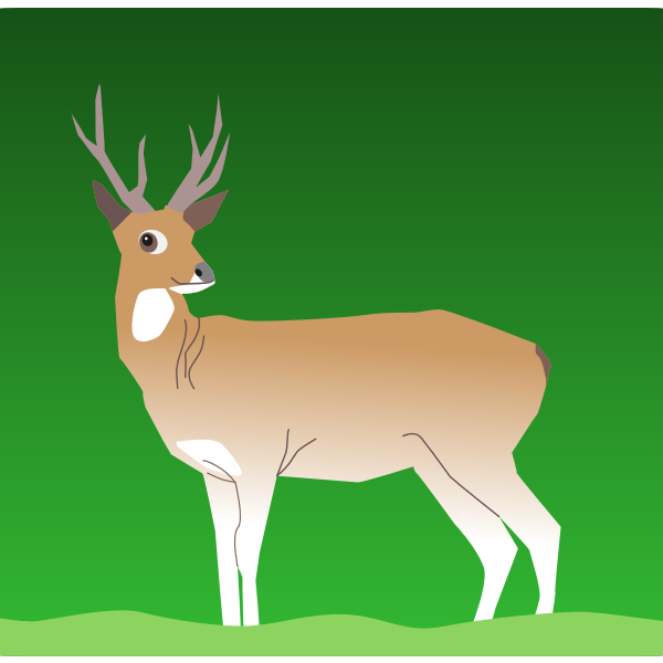 SVG Deer in the wild