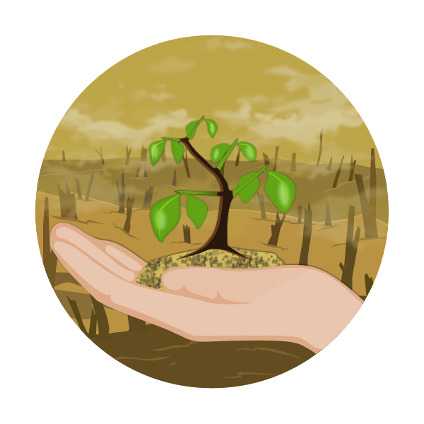SVG Deforestation