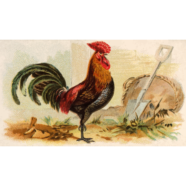 SVG Derbyshire Red Cap