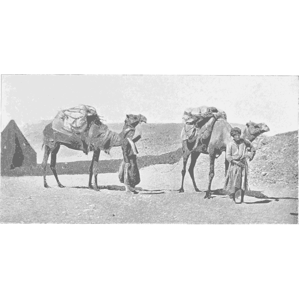 SVG Desert life