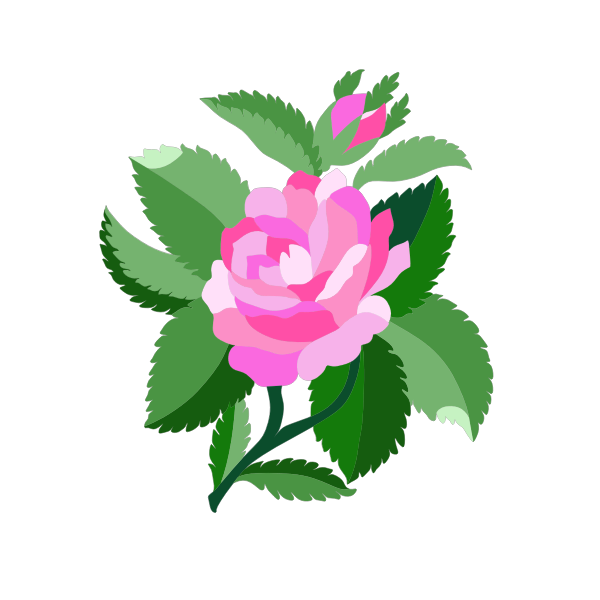 SVG Design for damask rose