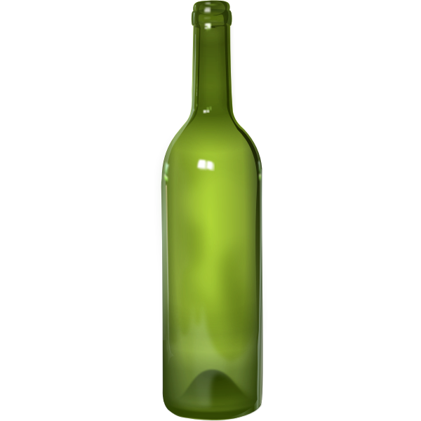 SVG Detailed bottle vector image