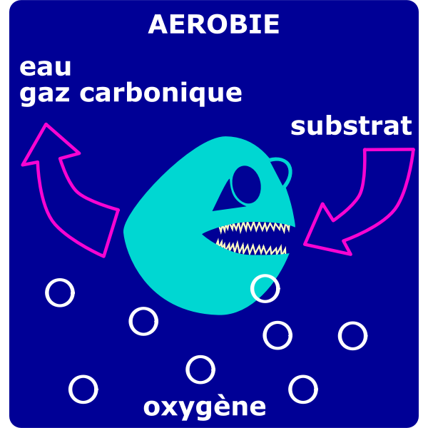 SVG dgradation arobie