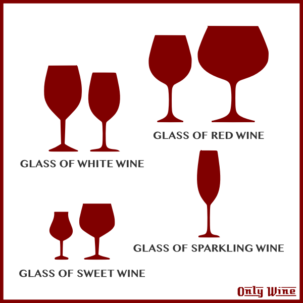 SVG Different glasses of wine