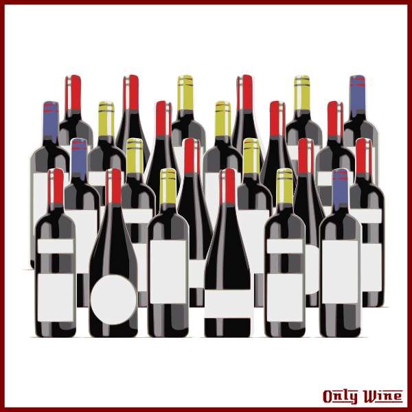 SVG Different wine bottles image