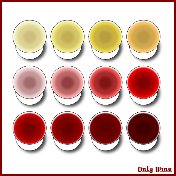 SVG Different wines