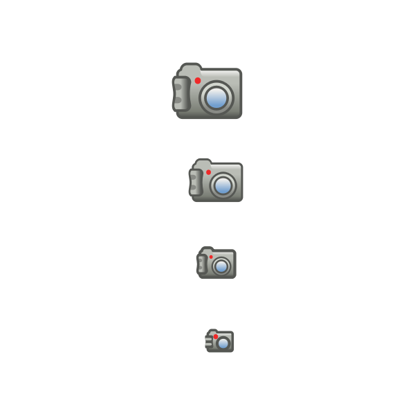 SVG Digital photo camera icon set vector image