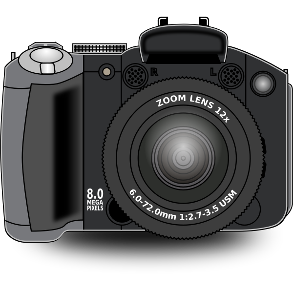 SVG Digital zoom camera