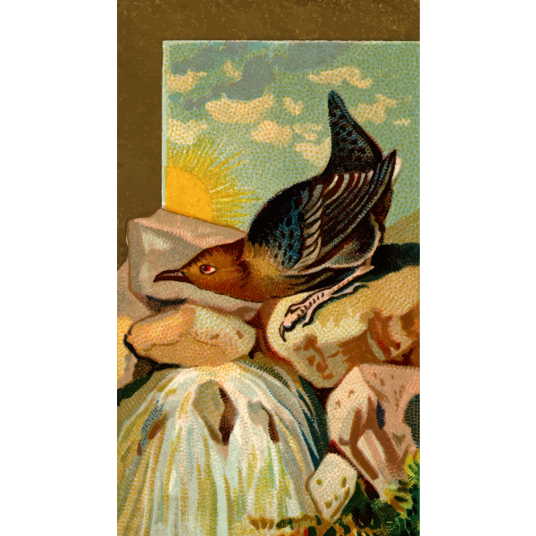 SVG Dipper