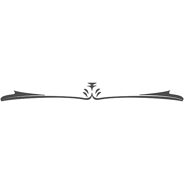 SVG Dividing Line 3