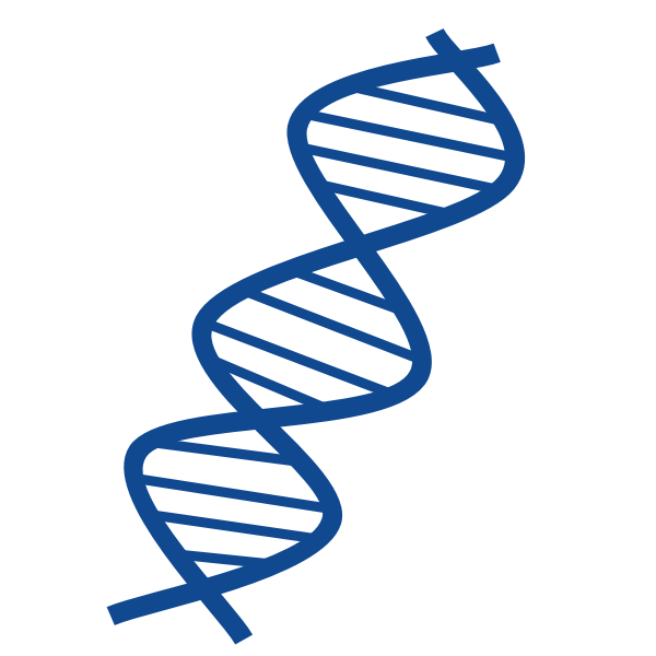 SVG DNA