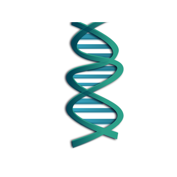 SVG DNA