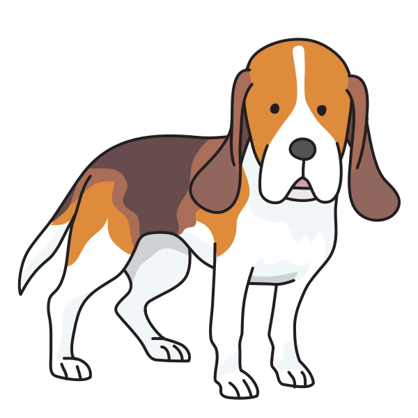 SVG dog - Beagle
