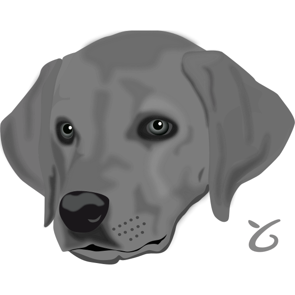 SVG Dogface vector image
