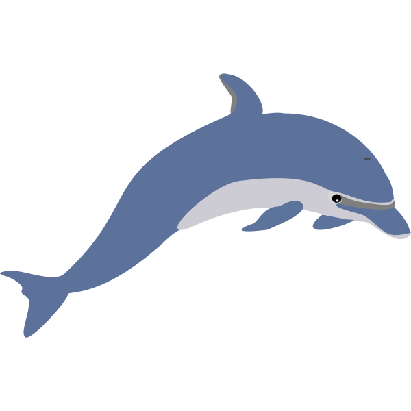 SVG Dolphin colored clip art