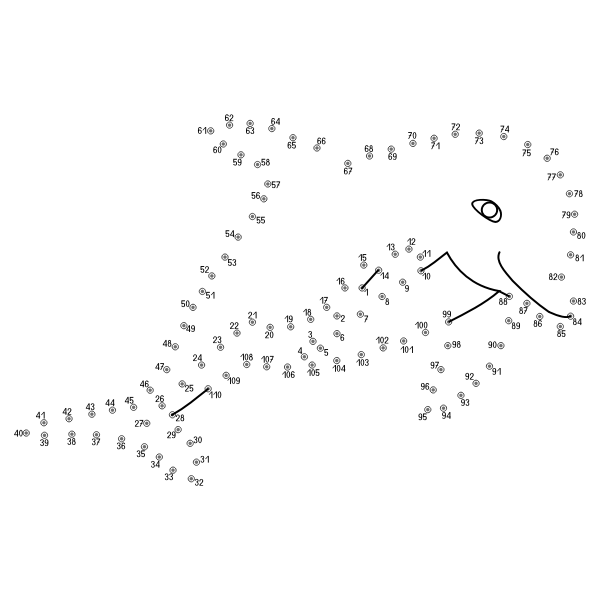 SVG Dolphin connect the dots vector image
